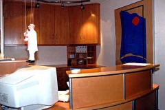 Empfangstresen Zahnarztpraxis - Buche lackiert